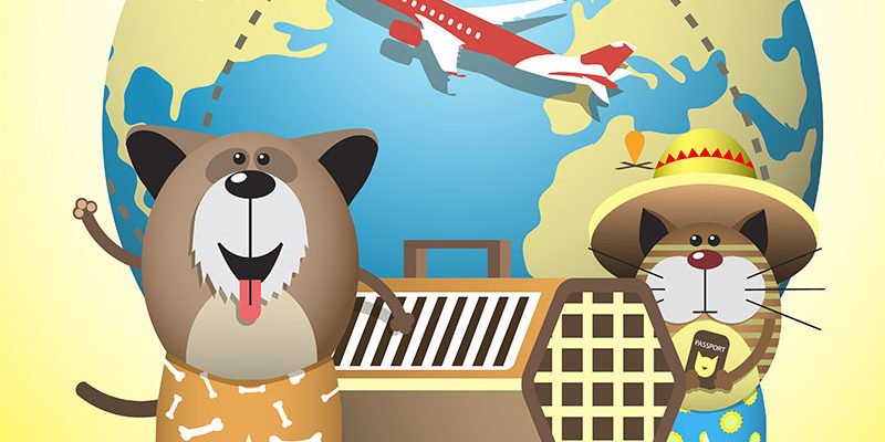 service-page-images-pet-travel service-page-images-pet-travel