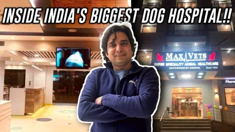 Providing the Best Animal Healthcare in Delhi and Gurgaon: A Guide to the Top 24×7 Pet Hospitals